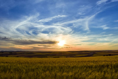 Scenic view of field against sky at sunset