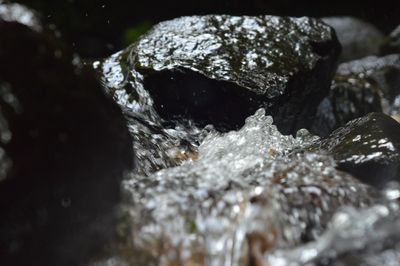 Close-up of ice on rock