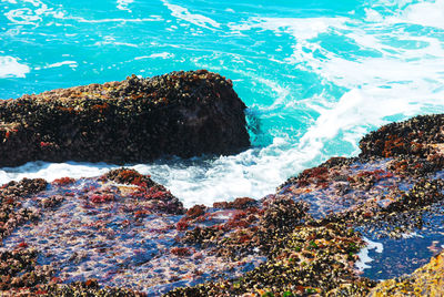 High angle view of waves splashing on rocks at shore