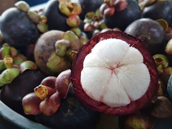 Close-up of mangosteen fruits on plant