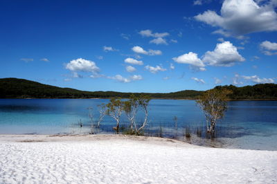 Scenic view of lake against blue sky