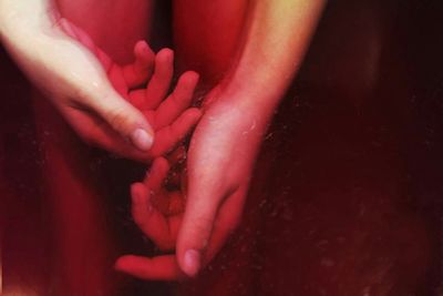 Close-up of woman holding pink flower