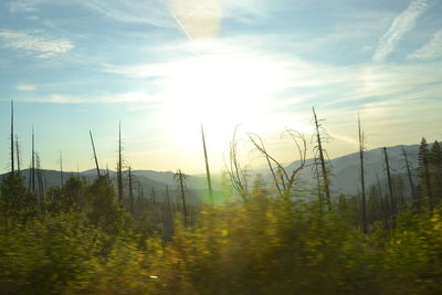 Scenic view of field against cloudy sky