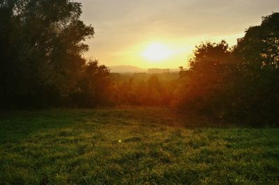 Scenic view of field against sky during sunset