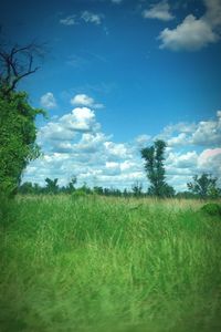 Scenic view of grassy field against cloudy sky