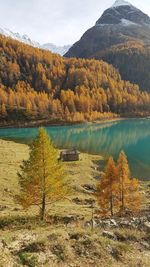 Scenic view of lake in forest during autumn