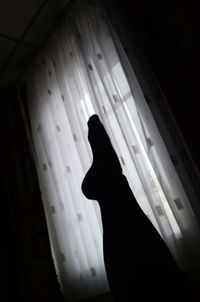 Silhouette person seen through window