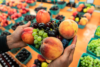 Close-up of hand holding fruits