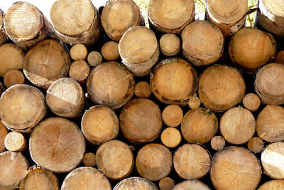 Full frame shot of logs in forest