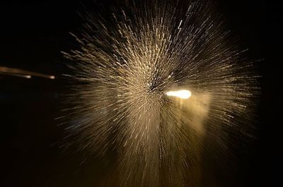 Low angle view of firework display at night