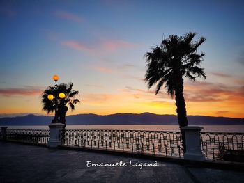 Silhouette palm tree by sea against sky during sunset