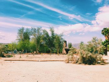 Trees on field against sky