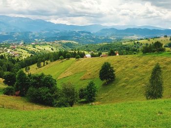 Scenic view of agricultural field against sky