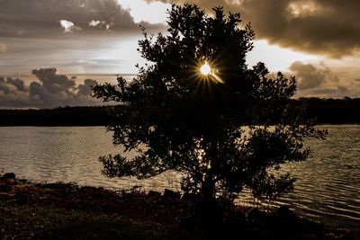 Silhouette tree by lake against sky during sunset