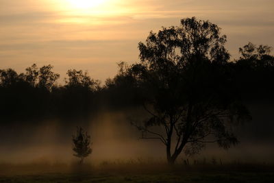 Silhouette trees on field against sky during sunset