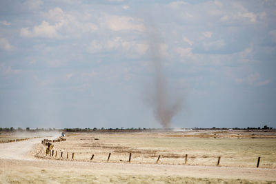 Dust devil by etosha pan, etosha national park, namibia