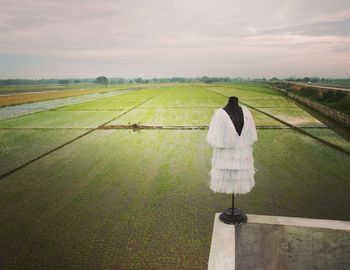 Scenic view of farm against sky