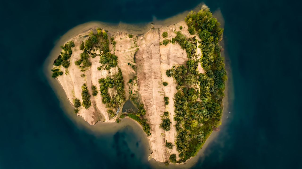 HIGH ANGLE VIEW OF BAY ALONG PLANTS