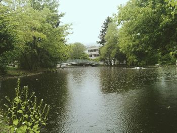 Reflection of trees in river