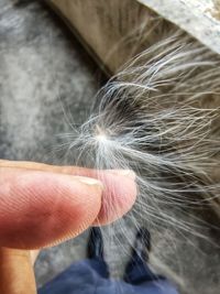 Close-up of hand holding leaf