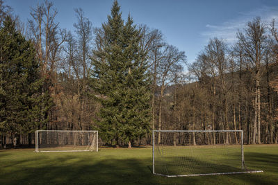 Trees on field against sky