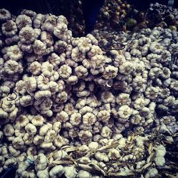 Full frame shot of fresh green leaves