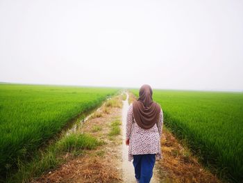 Rear view of woman walking on agricultural field