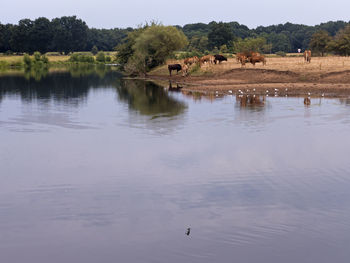 Scenic view of lake