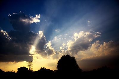 Low angle view of silhouette trees against sky during sunset