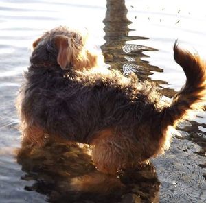 Young woman in water