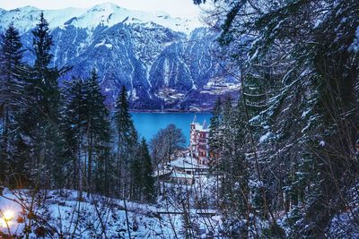 Scenic view of lake by trees during winter