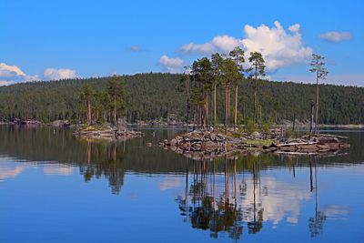 Landscape with reflection of trees in the water.