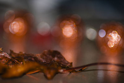 Close-up of dry leaves on table