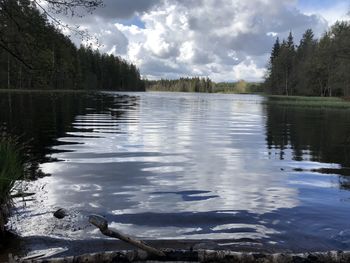 Scenic view of lake in forest against sky