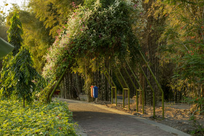 Footpath amidst trees in park