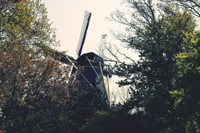 Low angle view of trees against sky