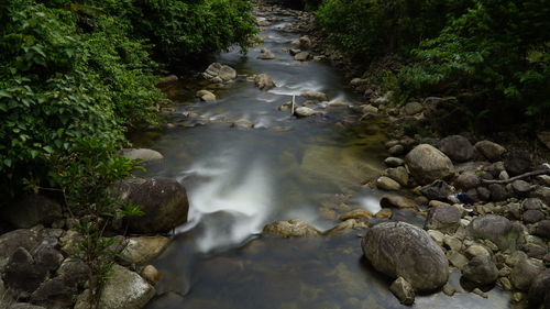 Stream flowing through rocks in forest