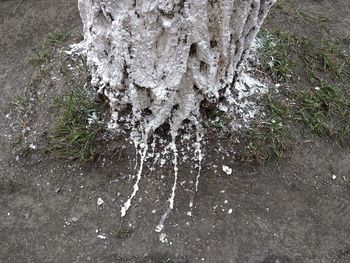 High angle view of snow on land