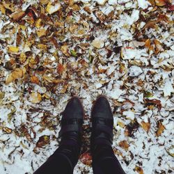 Low section of man standing on autumn leaves