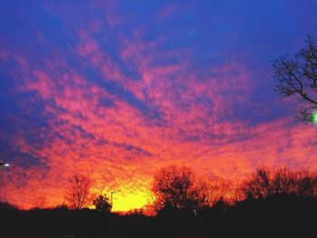 Silhouette of trees at sunset