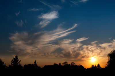 Low angle view of silhouette trees against sky during sunset