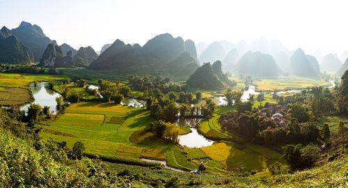 Scenic view of agricultural field against clear sky