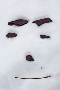 Close-up of snow covered tree