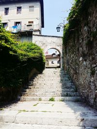 Narrow walkway along trees