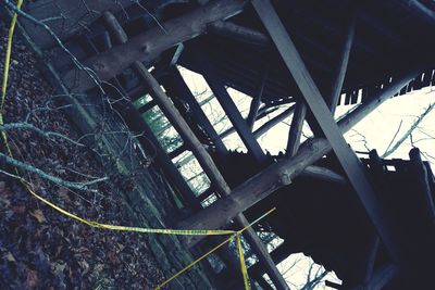 Low angle view of abandoned bridge in forest