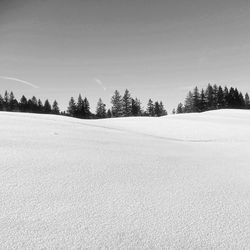 Trees on landscape against sky