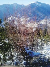 Scenic view of snow covered mountains