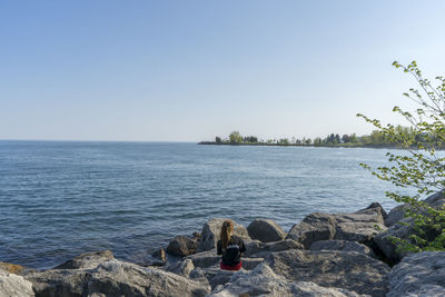Rear view of woman sitting on rock by sea against clear sky