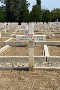 View of cemetery against trees