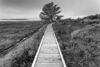 Boardwalk over grassy field at morro bay state park